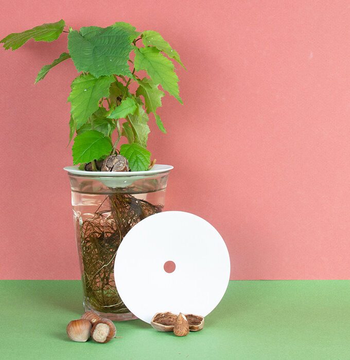 Coupelle de germination taille S - BOTANOPIA