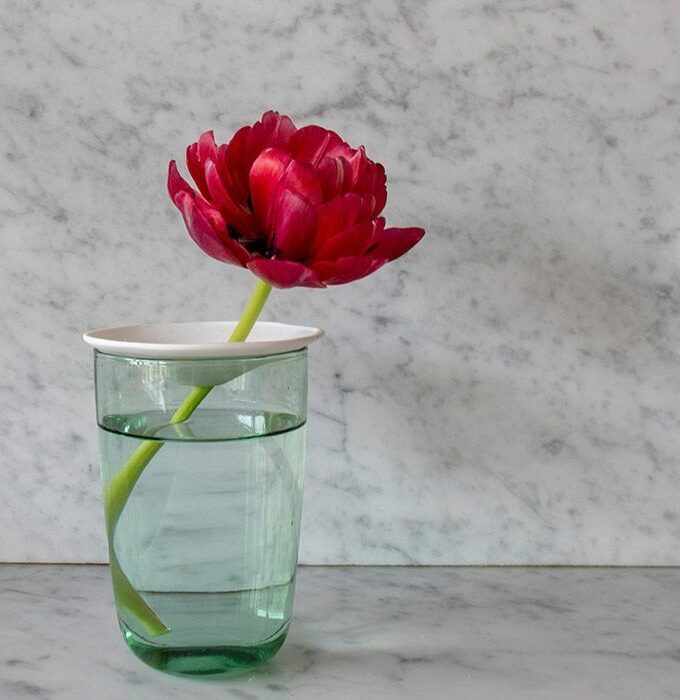 Coupelle de germination taille S - BOTANOPIA