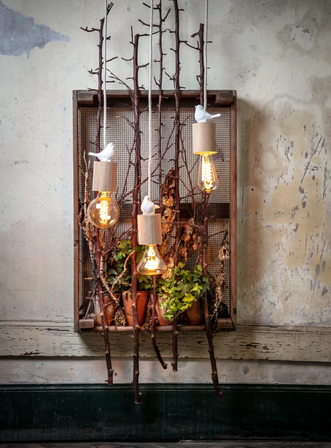 La Georgette Jardin Sauvage J1