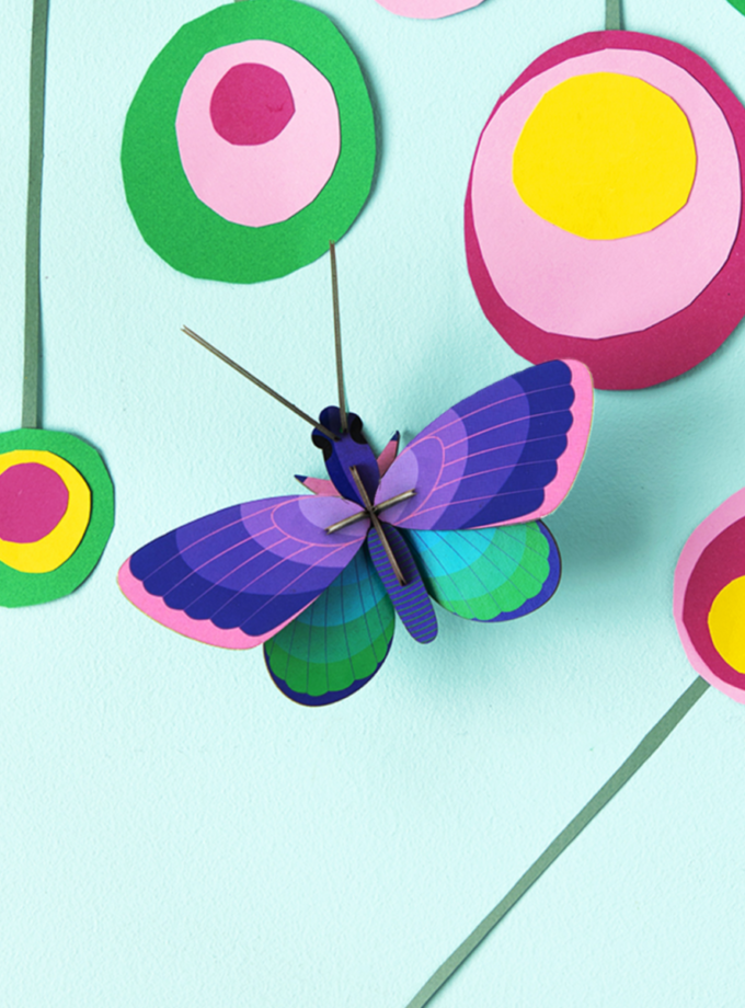 Papillon Bleu Cuivre - Studio ROOF