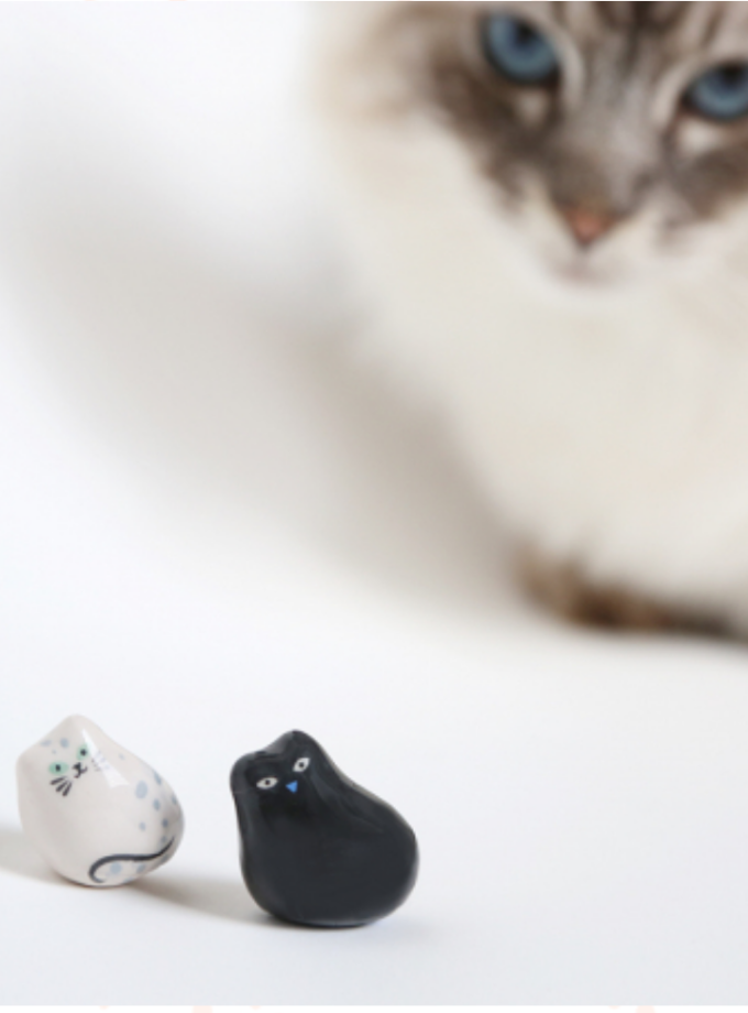 Chat bienveillant - Dodo Toucan