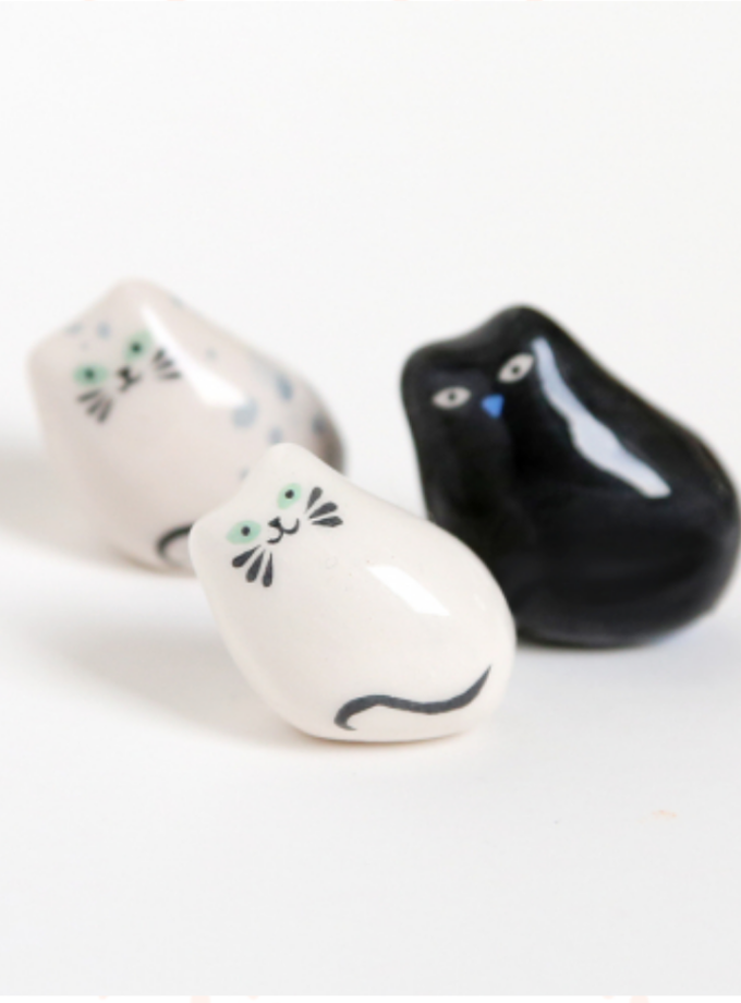 Chat philosophe - Dodo Toucan