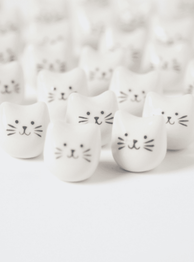 Mini chat - Dodo Toucan