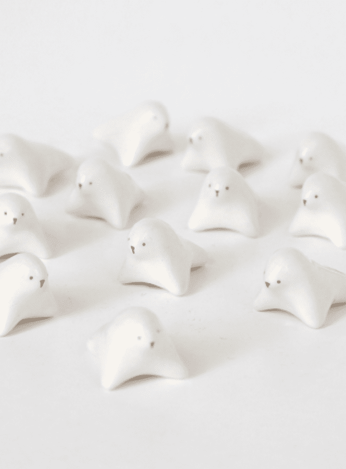 Mini phoque - Dodo Toucan