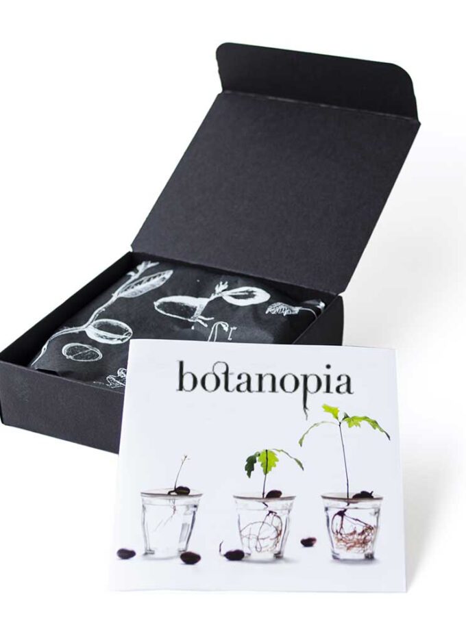 Coupelle de germination taille L - BOTANOPIA