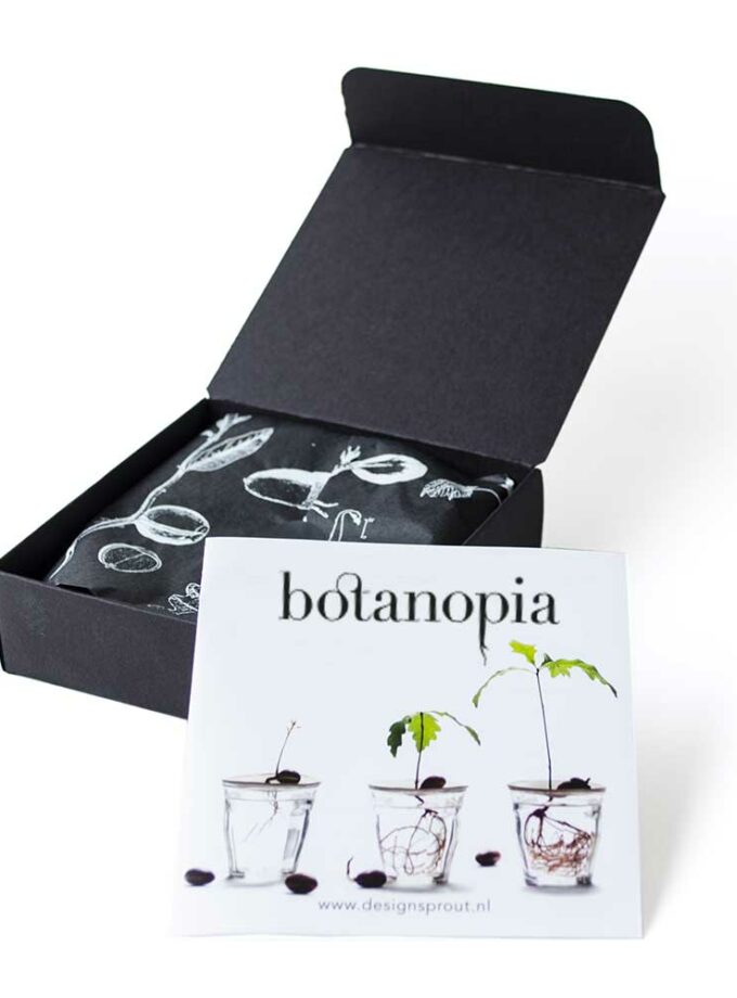 Coupelle de germination taille S - BOTANOPIA