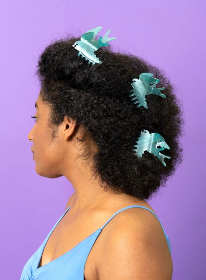 Pince à cheveux Hirondelle