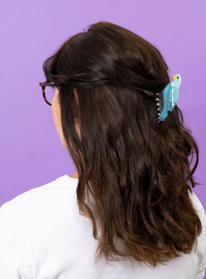 Pince à cheveux Perruche bleue