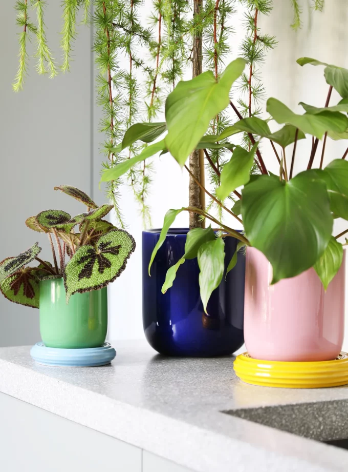 Cache pot "churros" rose