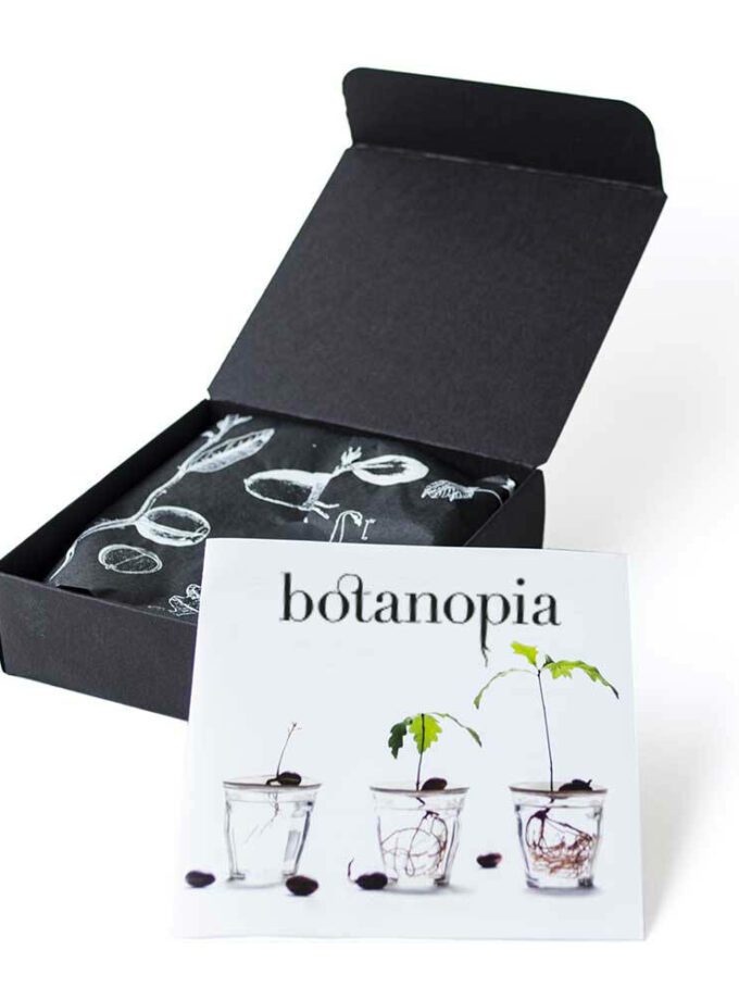 Coupelle de germination taille L - Botanopia