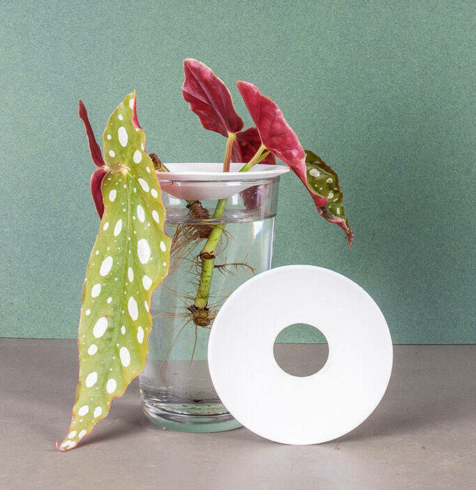 Coupelle de germination taille L - Botanopia