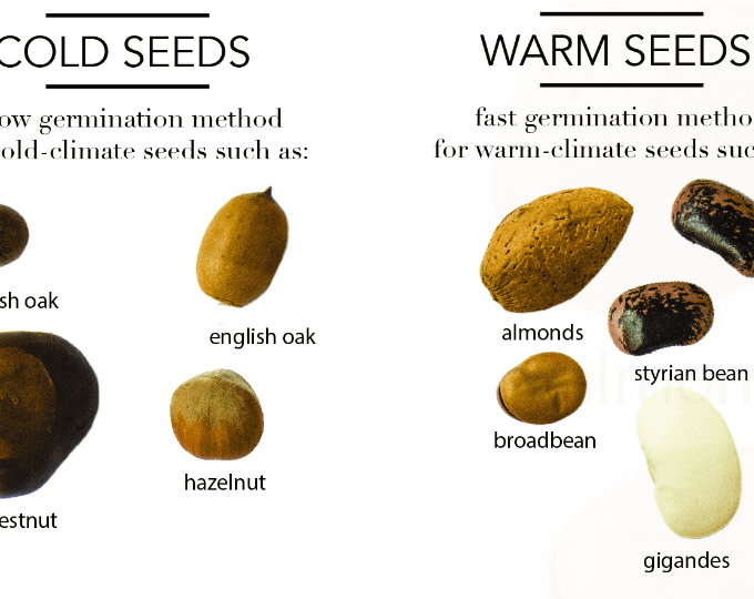 Mix de graines - Botanopia