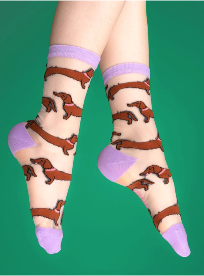 Chaussettes transparentes Teckel