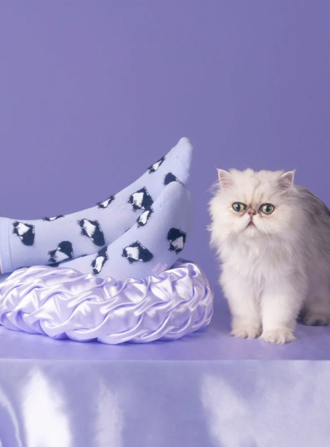 Chaussettes chat - Noir & Blanc