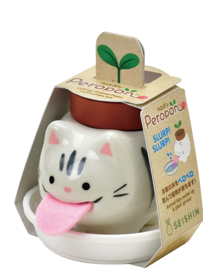 Plante à faire pousser Peropon - Basilic