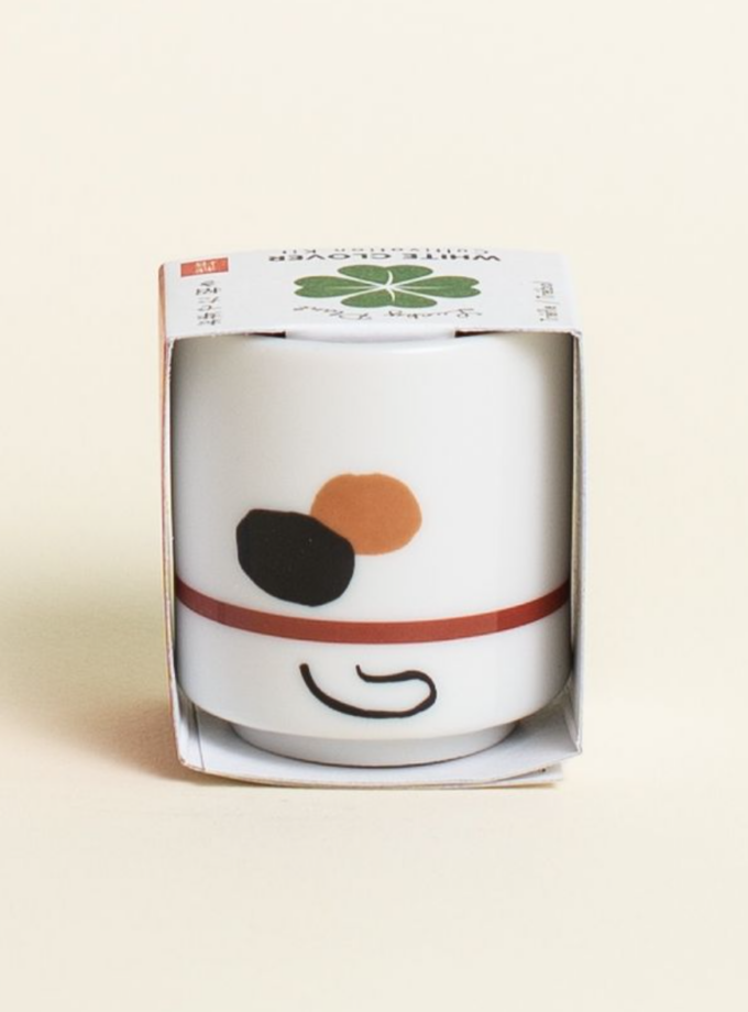 Plante Lucky plant - Chat