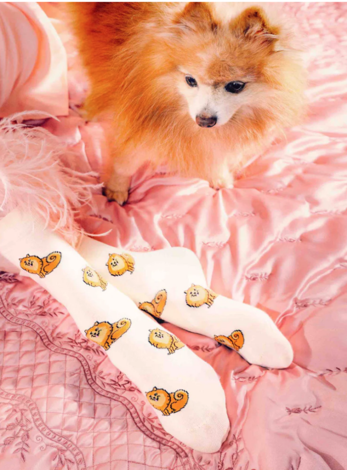 Chaussettes Spitz