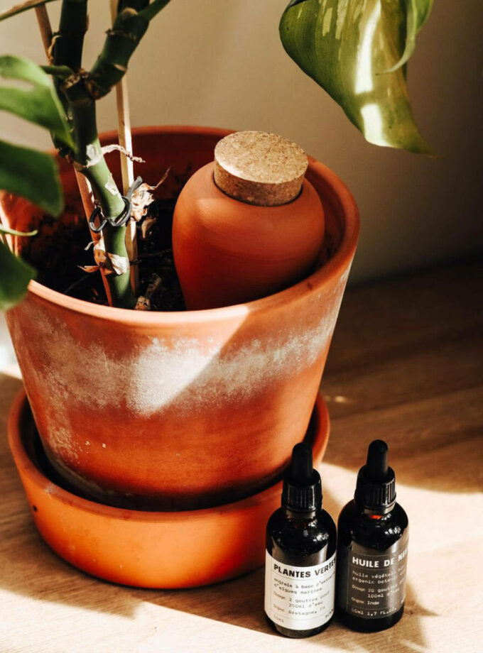 Olla hydratante - Terracotta