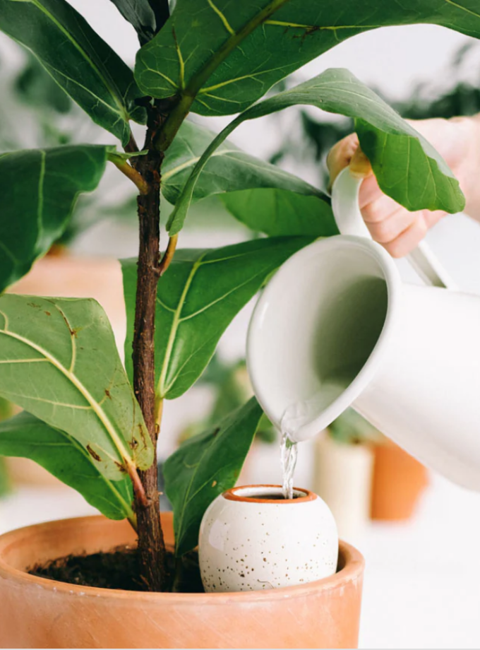 Olla hydratante - Blanc lisse