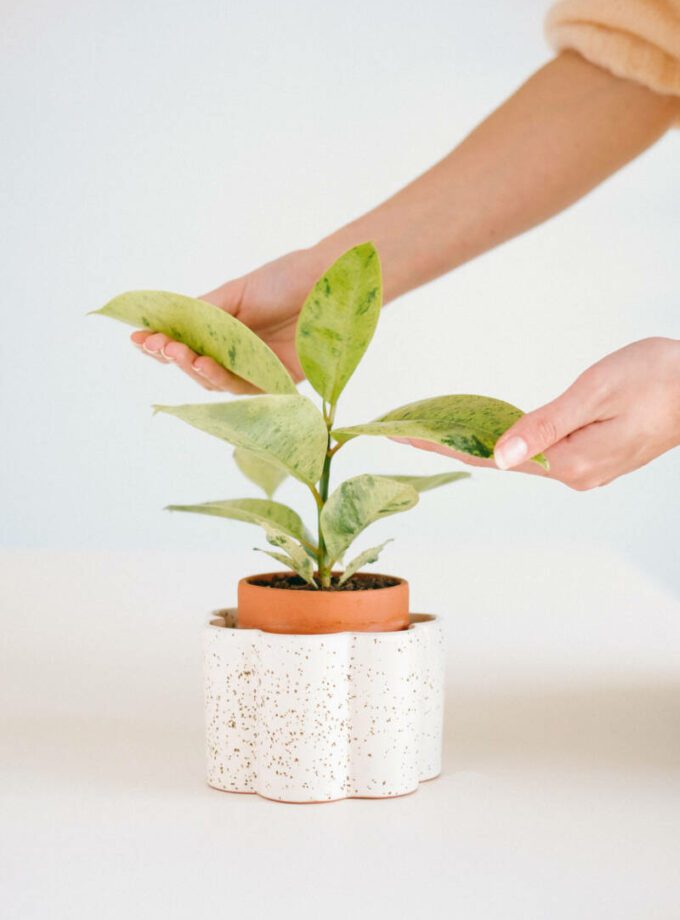 Pot autonome Paula - Blanc grainé