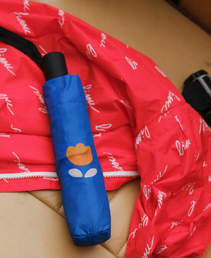 Parapluie pliable - fleurs